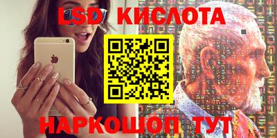 винт Донской