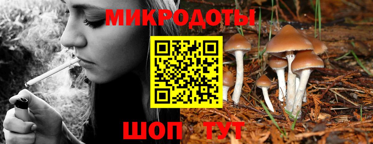 Псилоцибиновые грибы GOLDEN TEACHER  цены   Ирбит  Вход с VPN 